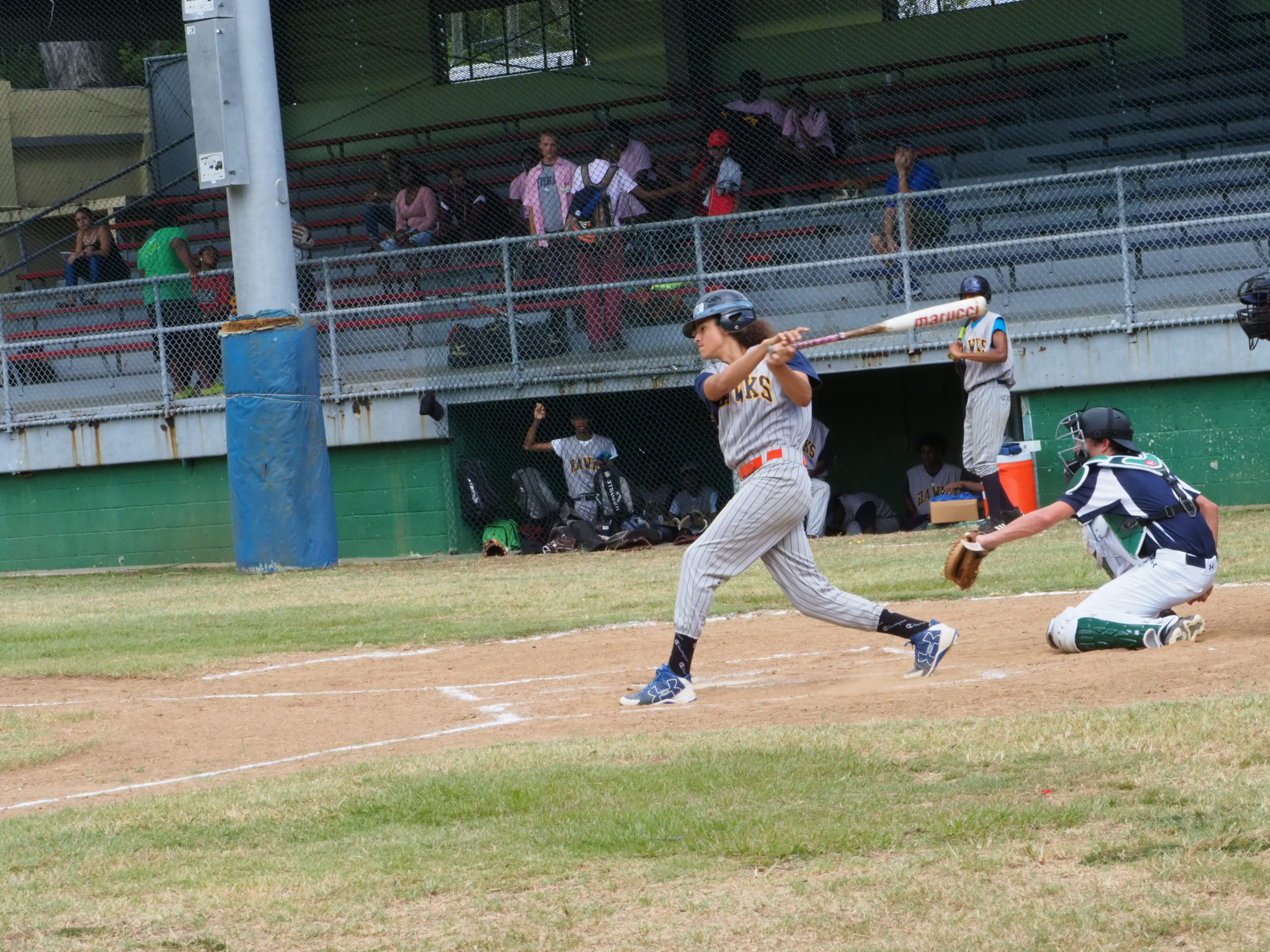 the Hawks take a swing at the Team Avenue Baseball's pitch.jpg